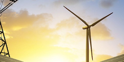 Im Haus von Bode herrscht echte grüne Kommunikation. Das ist echtes grünes Marketing