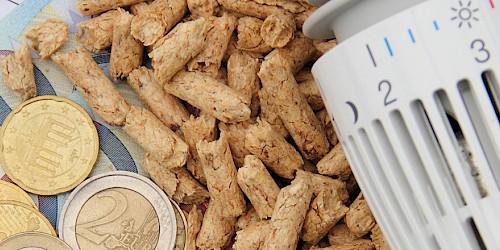 Kombinieren sie ihre Gasheizung mit einem zweiten Wärmeerzeuger