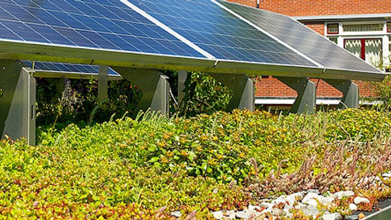 Eine PV-Anlage auf einem Gründach