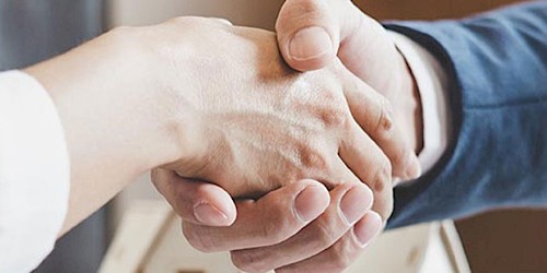 Wir nehmen sie zur Hand und stehen ihnen als Ratgeber zur Verfügung