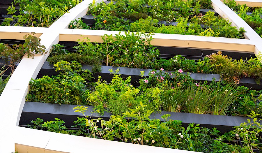 Grüne Expertise für nachhaltige Lebensräume