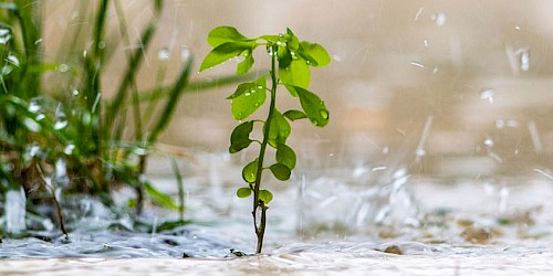 Zwei neue DWA-geprüfte Fachplaner im Bereich Grundstücksentwässerung
