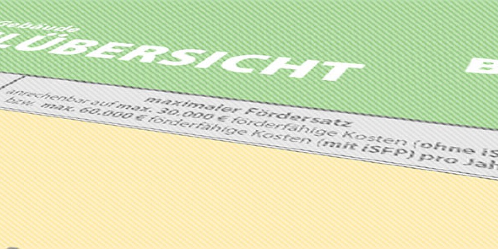 BEG Reform 2024 - Die neue Förderung für den Heizungstausch