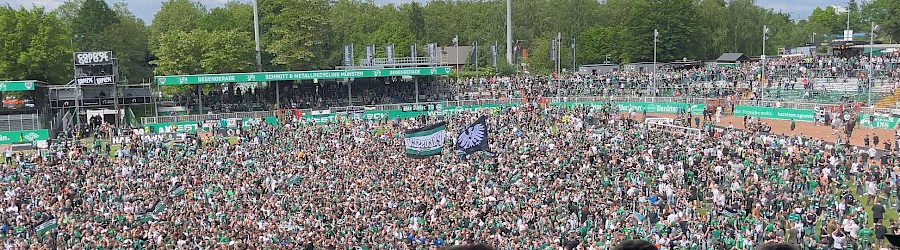 Stürmung des Spielfelds