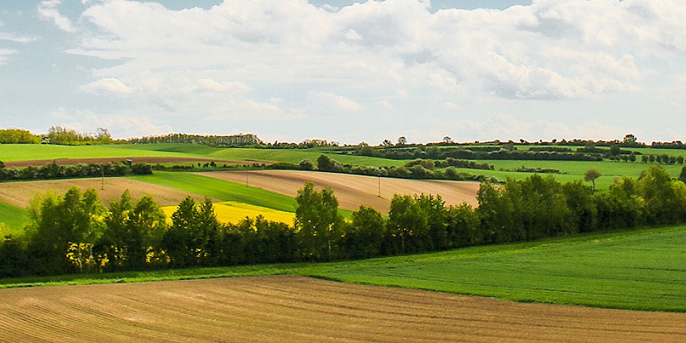 Ein Landschaftspanorama mehrerer Felder