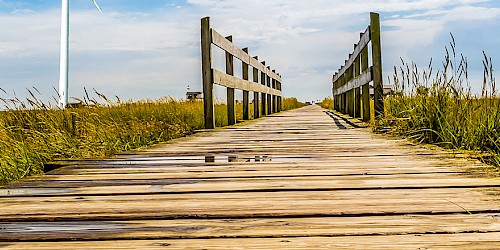 Eine Holzbrücke mit einem Schild auf dem steht: Erneuerbare Energien weisend auf eine Grasfläche mit Windrädern