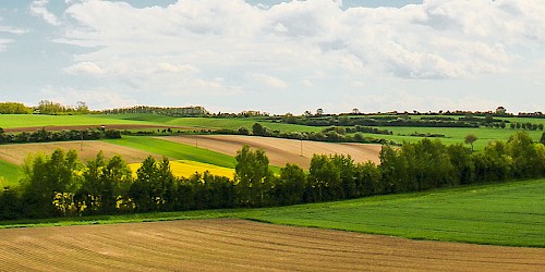 Referenzen der Bode Planungsgesellschaft im Gebäudesektor für Kommunen